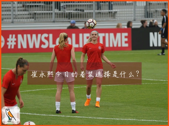 崔永熙今日的着装选择是什么？