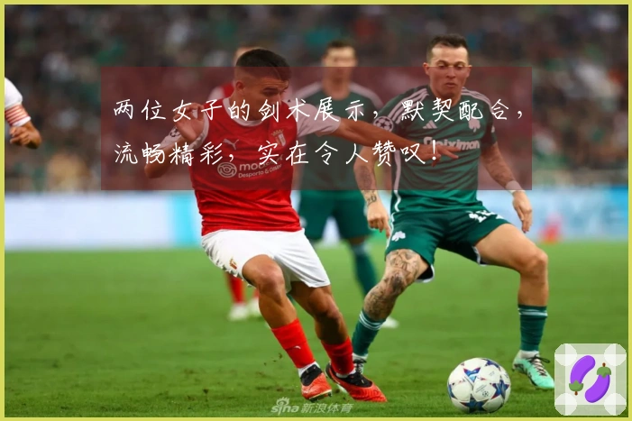 两位女子的剑术展示，默契配合，流畅精彩，实在令人赞叹！